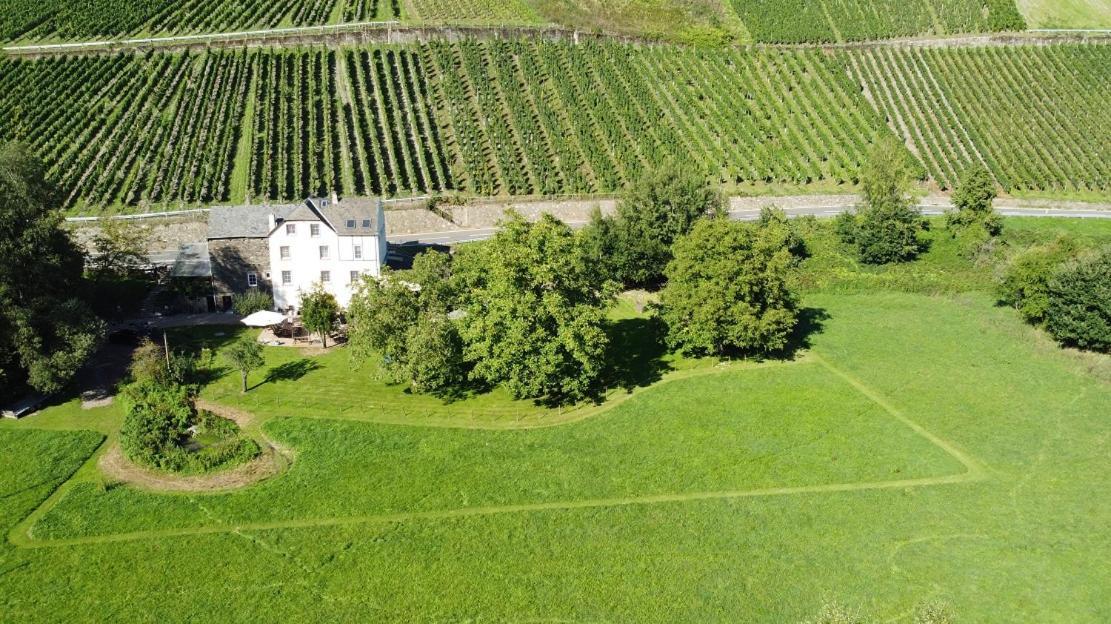 Livi'S Landhaus Neumagen-Dhron Eksteriør billede